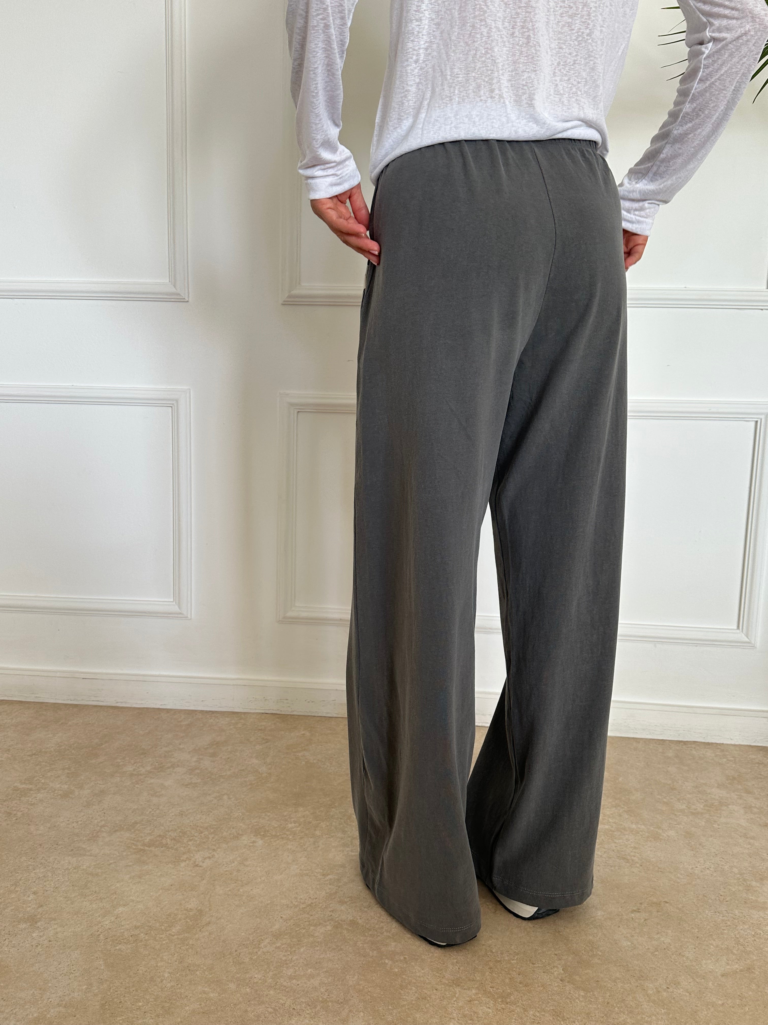 מכנסי אלן סטון ווש אפור